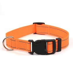 Orange nylon dog collar